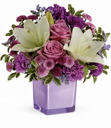 Teleflora's Pleasing Purple Bouquet from Victor Mathis Florist in Louisville, KY